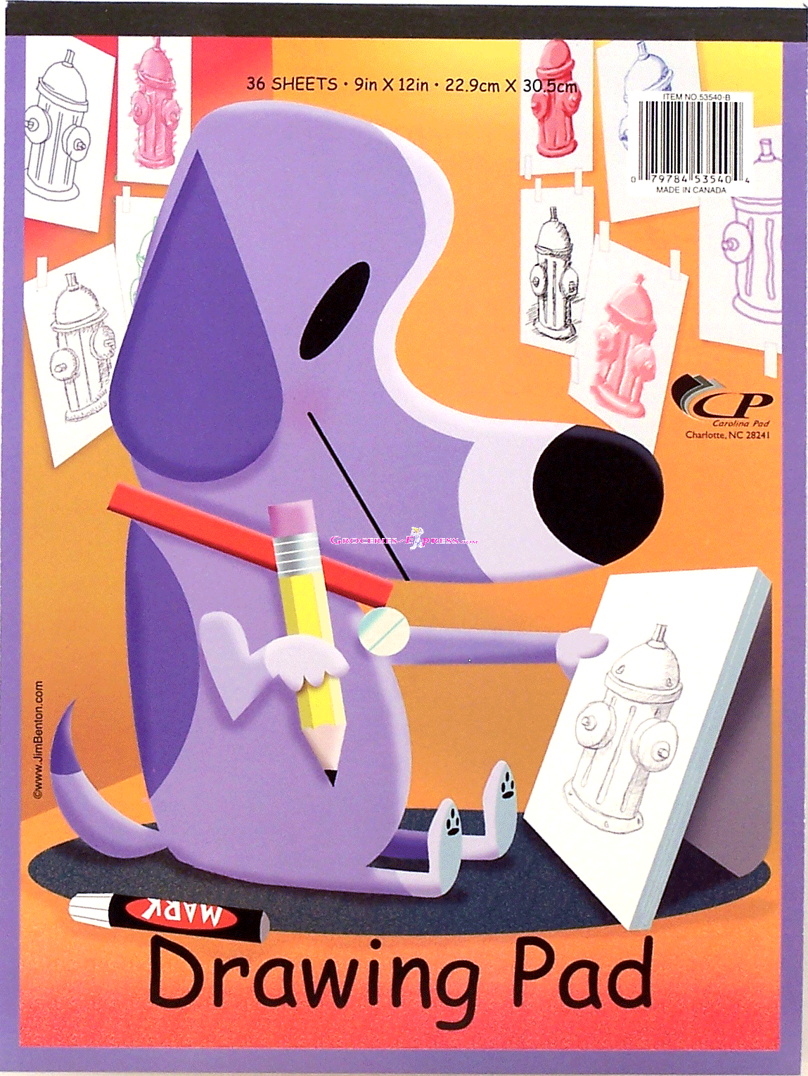 Carolina Pad&nbsp;&nbsp;drawing pad, 36 sheets, 9 x 12-inch Full-Size Picture
